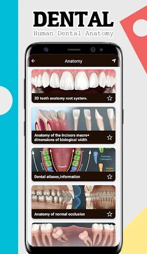Dental Anatomy Screenshot 2