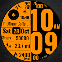 Digital Watch Face CRC066