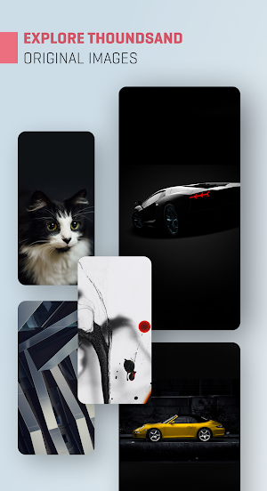 boopii - 4K Wallpaper & Wallpapers free Screenshot 1