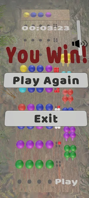Mastermind Classic Codebreaker Screenshot 3