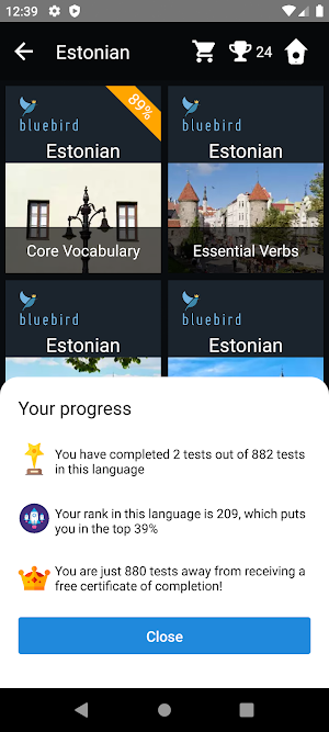 Estonian Language Tests Screenshot 2