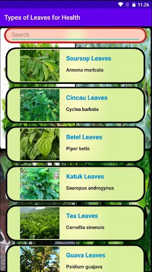 Types of Leaves for Health Screenshot 0
