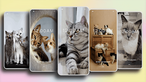 Cat Cute Wallpaper Screenshot 0
