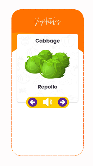 Vegetable Names in Spanish Screenshot 1