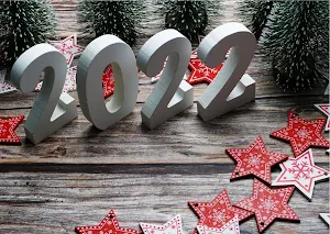 Bonne Année 2022 Screenshot 3