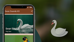 Swan Sounds Screenshot 1