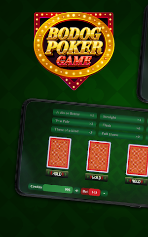 Bodog Poker Game Screenshot 0