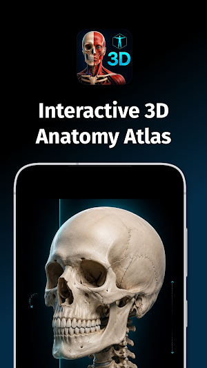 Concise Anatomy 3D Screenshot 0