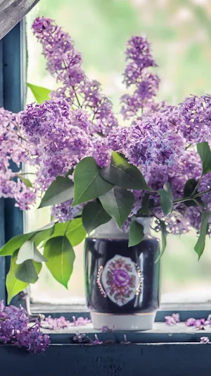 Lilac Wallpapers Screenshot 3