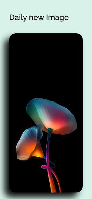 Wallpapers for iPhone 12 Screenshot 3
