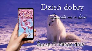 Good Morning Everyday Greetings in Polish Screenshot 3