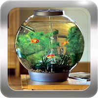Aquarium Design Inspiration