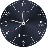EXD087: Elegant Watch Face