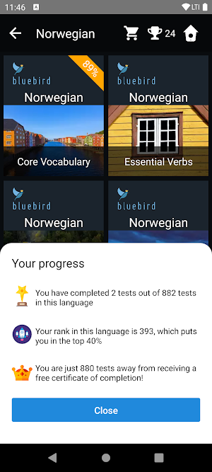 Norwegian Language Tests Screenshot 2