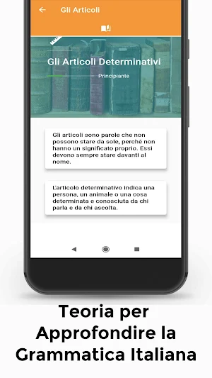 GrammaticaMaster - Analisi Grammaticale Master Screenshot 2