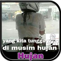Rain DP