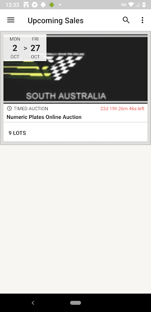 Numeric Plates SA Screenshot 0