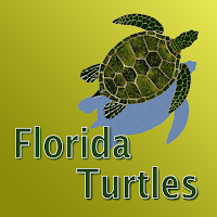 Florida Turtles