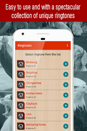 animal sounds for phone Screenshot 1