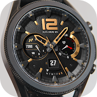 S4U Chicago - Golden20