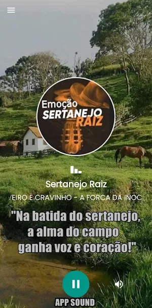 Sertanejo Raiz Screenshot 1