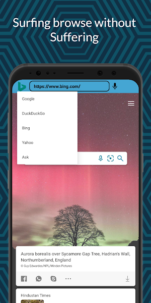 V Browser Screenshot 3