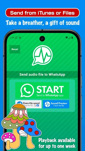 Audio Send for WhatsApp Screenshot 2