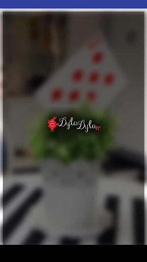 Dylu Dylu Screenshot 1