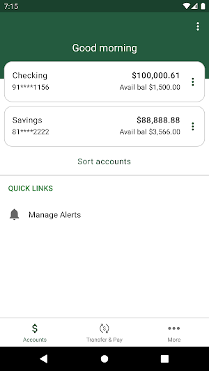 Sylvania Area FCU Screenshot 2
