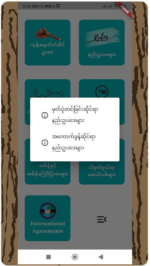 The Trademark Law Screenshot 3