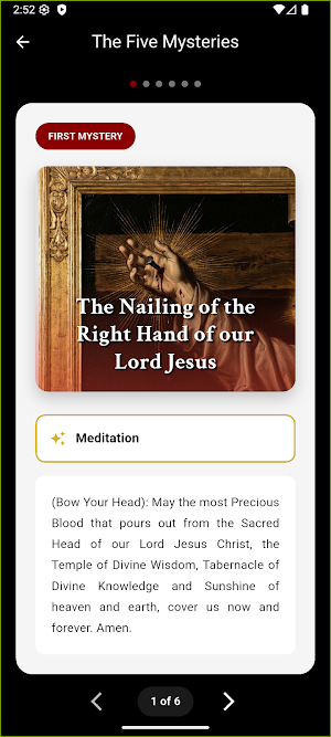 Precious Blood Chaplet Screenshot 2