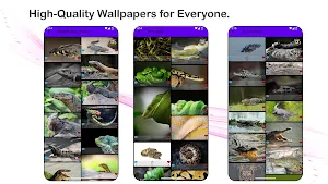 The Amphibian Gallery Screenshot 1