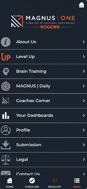 ROGEMN Screenshot 3