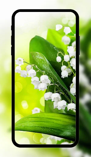 Spring wallpaper HD+ Screenshot 3