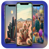 Cactus Wallpaper Theme