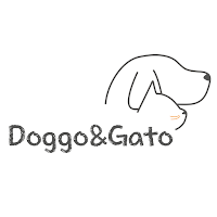 도고앤가또 - Doggo&Gato