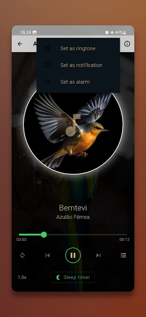 Canto Do Azulão Fêmea Screenshot 3