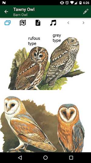 Birds of UK & Ireland Screenshot 3