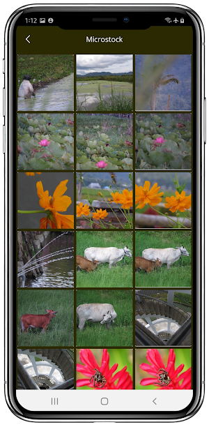 Phomo Photo Motion Maker Screenshot 2