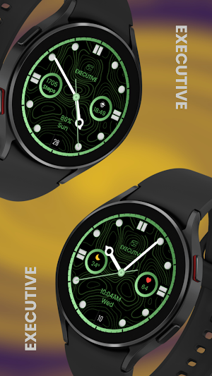 EXD062: Omega Tourbillon Face Screenshot 1