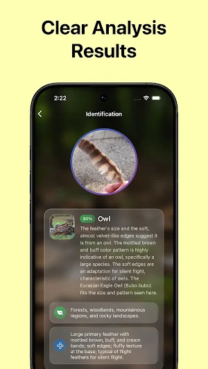 Feather Identifier Screenshot 2