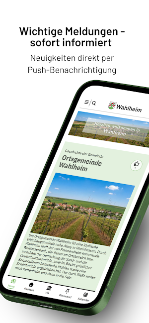 Wahlheim Screenshot 1