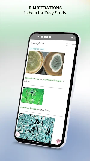 Pkt Guide to Fungal Infections Screenshot 2
