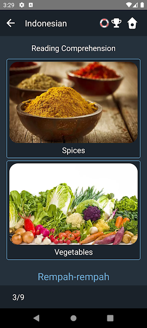 Indonesian Language Tests Screenshot 3