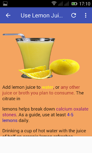 Kidney Cleanser Screenshot 3