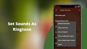 Quail Sounds - Quail Bird Calls Screenshot 2