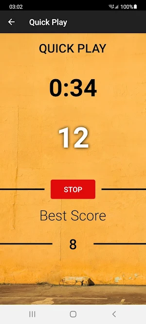 Dunk Master Screenshot 3