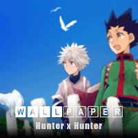 Wallpaper Hunter x Hunter HD