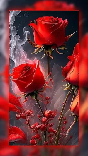 Red Rose Wallpapers : Flowers Screenshot 2