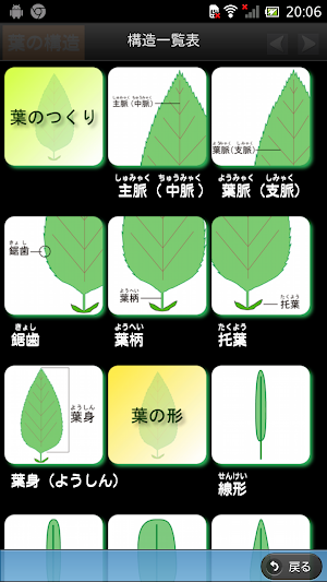 季節の野草・山草図鑑 Screenshot 2